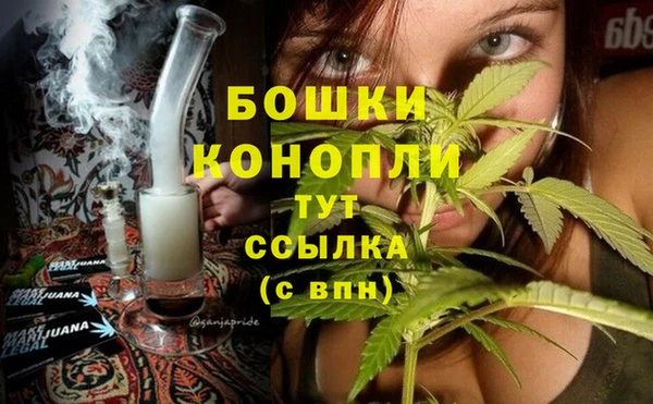 бошки Богданович